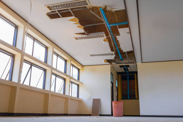 Best Residential water damage restoration  in New Carrollton, MD