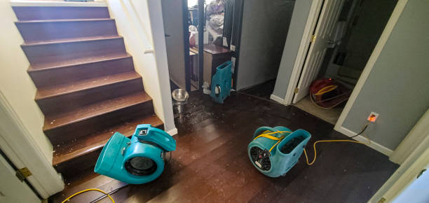 Best 24/7 water damage repair  in New Carrollton, MD