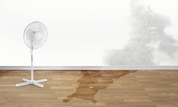 Best Flood restoration services  in New Carrollton, MD