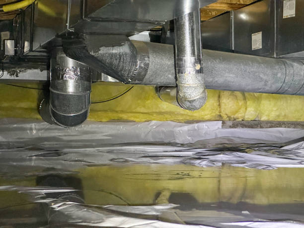 Best Basement water damage restoration  in New Carrollton, MD