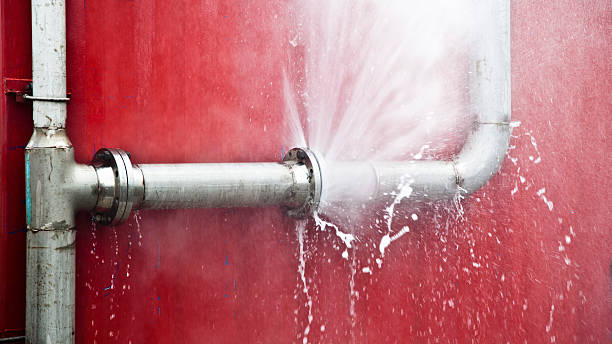 Best Carpet water damage restoration  in New Carrollton, MD